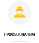Професіоналізм